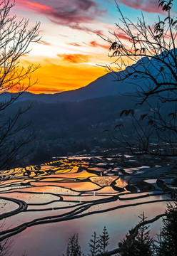 元阳梯田 大地调色板 日出