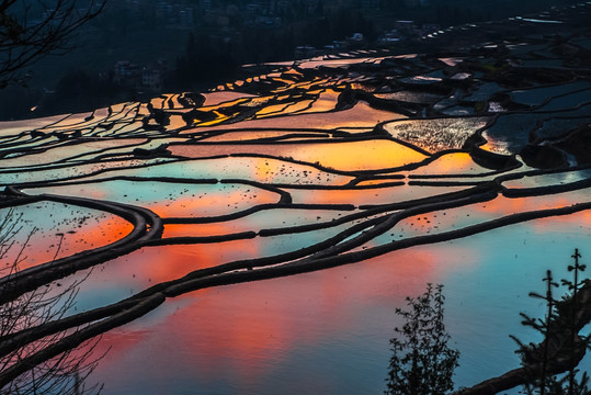 元阳梯田 大地调色 梯田日出