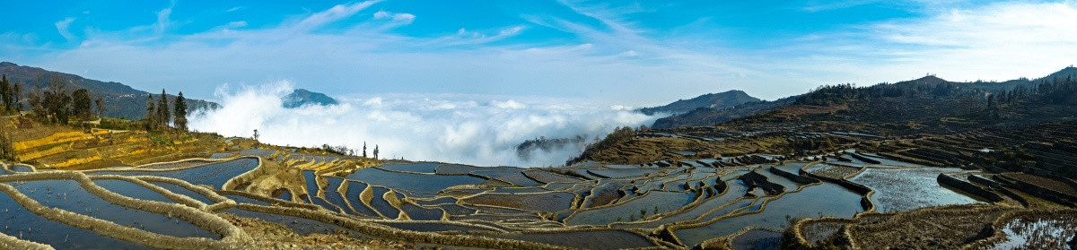 元阳梯田 大地调色板 云海