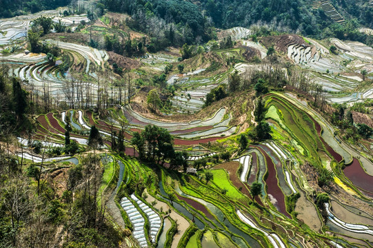 元阳梯田 老虎嘴 大地变奏