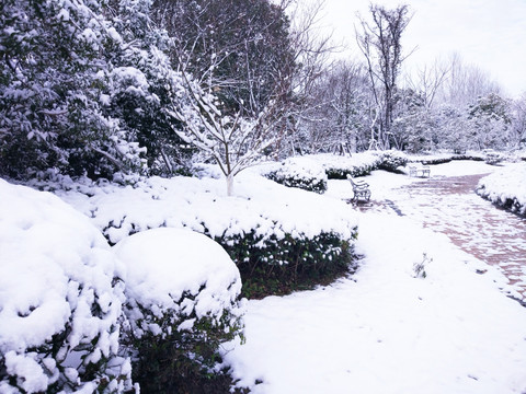 都市花园雪景