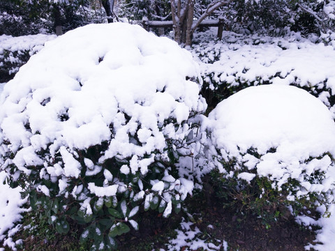 都市花园雪景