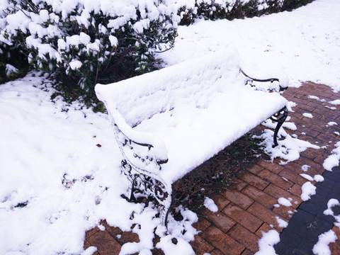 都市花园雪景