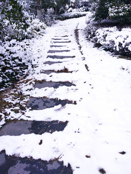 都市花园雪景