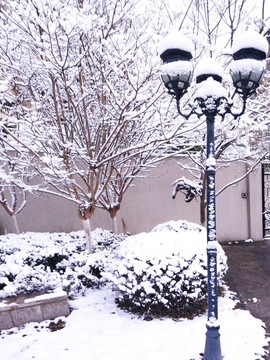 都市花园雪景