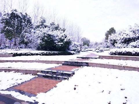 都市花园雪景