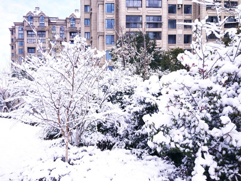 都市花园雪景