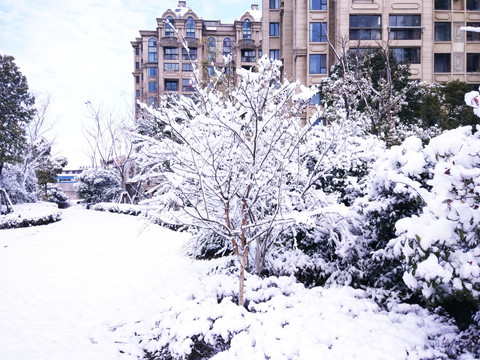 都市花园雪景