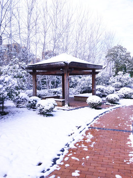 都市花园雪景