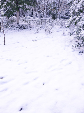 都市花园雪景