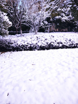 都市花园雪景