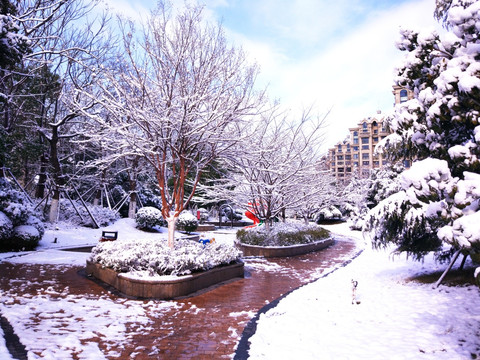 都市花园雪景