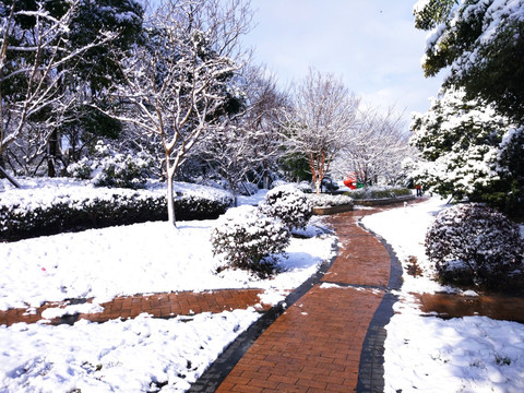 都市花园雪景