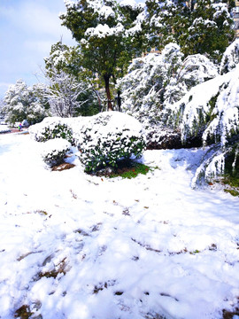 都市花园雪景