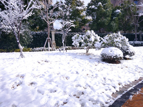 都市花园雪景