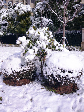 都市花园雪景