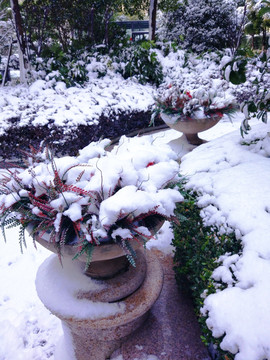 都市花园雪景