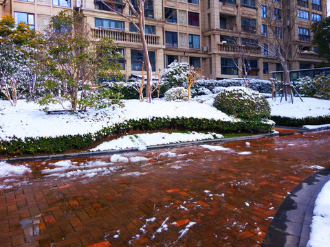 都市花园雪景