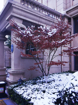 都市花园雪景