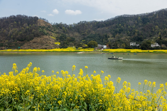 新安江山水画廊风景区