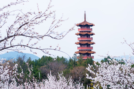 徐州云龙湖风景区苏公塔