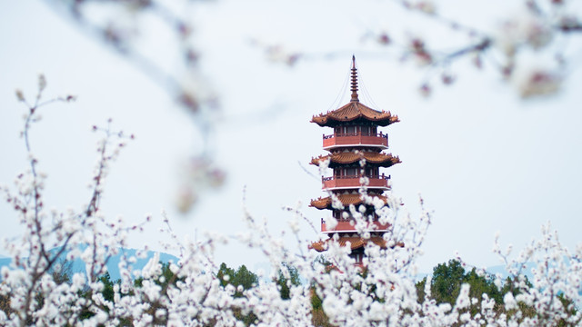 徐州云龙湖风景区苏公塔