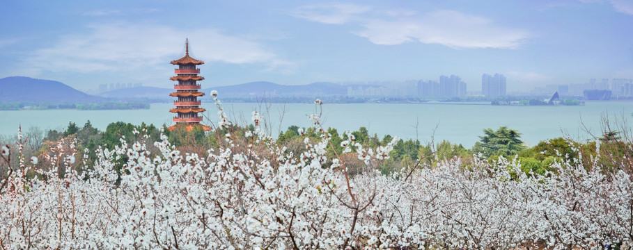 徐州云龙湖风景区苏公塔