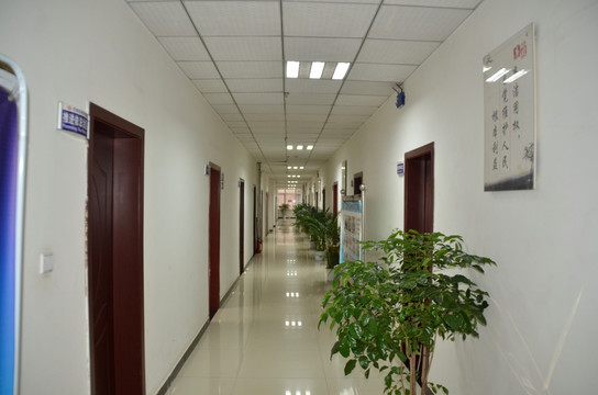 办公室走廊