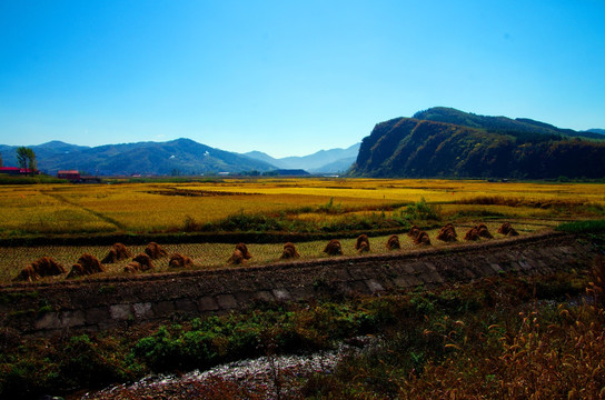 桓仁集安远景