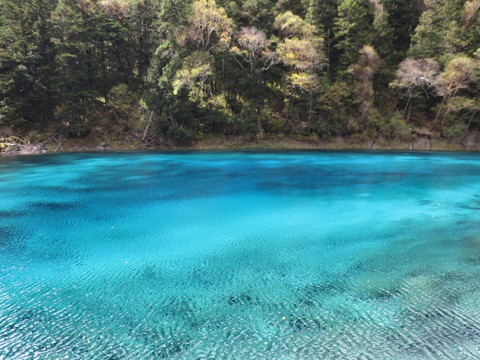 九寨沟 黄龙