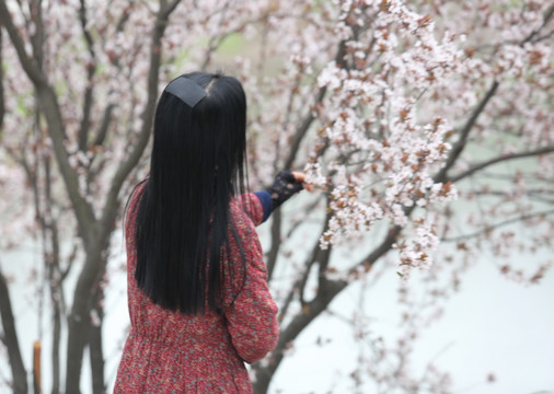 美女女性 赏花