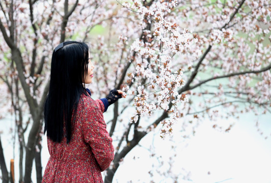 美女女性 赏花