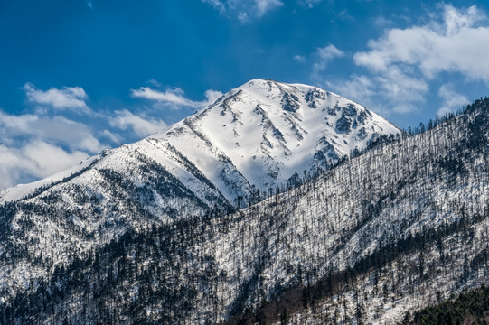 云南德钦白茫雪山