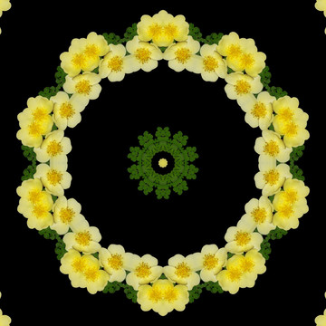 鮮花拼圖 萬花筒 裝飾圖形