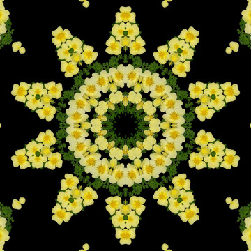 鮮花拼圖 萬花筒 裝飾圖形