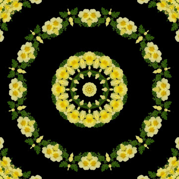 鮮花拼圖 萬花筒 裝飾圖形