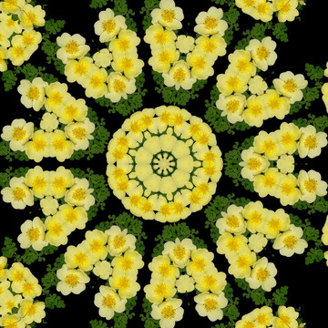 鮮花拼圖 萬花筒 裝飾圖形