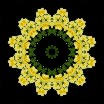 鮮花拼圖 萬花筒 裝飾圖形