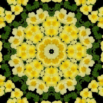 鮮花拼圖 萬花筒 裝飾圖形