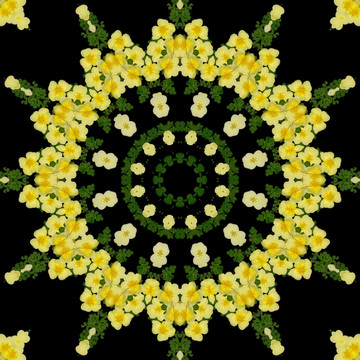 鮮花拼圖 萬(wàn)花筒 裝飾圖形