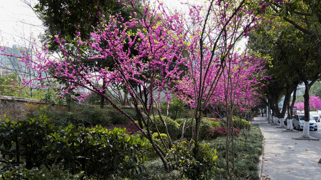 重庆街景