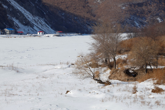 冬景 冬天 冰天雪地 东北风景