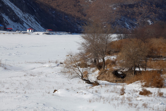 冬景 冬天 冰天雪地 东北风景