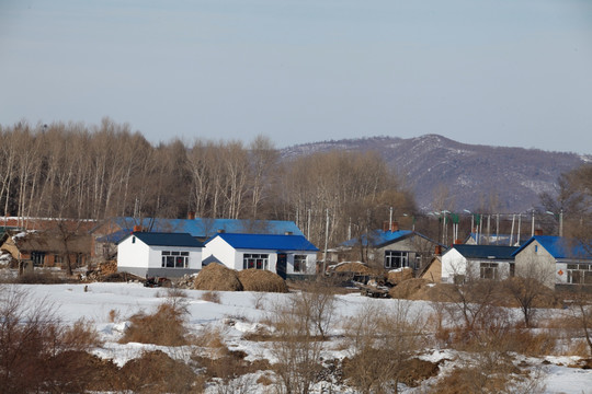 冬景 冬天 冰天雪地 东北风景