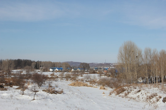 冬景 冬天 冰天雪地 东北风景