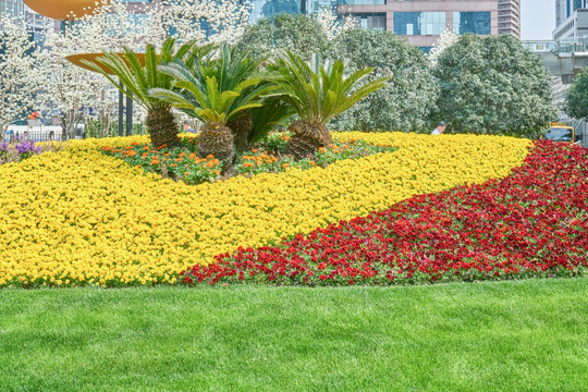 城市花坛 街头绿地 高清