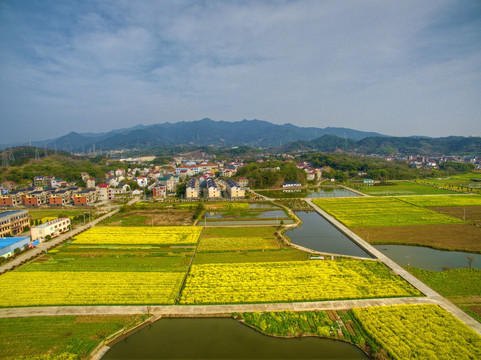 浙江兰溪岩头村油菜花田航拍