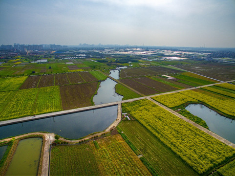 浙江兰溪岩头村油菜花田航拍