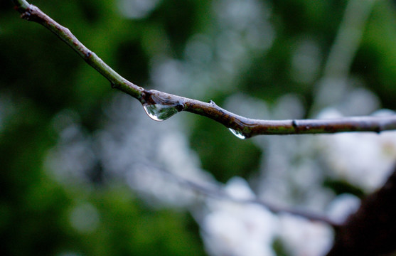 雨滴