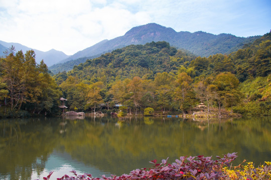 野趣沟风光